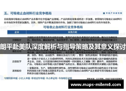 朗平赴美队深度解析与指导策略及其意义探讨