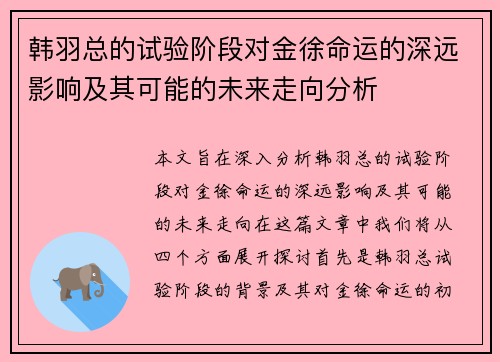 韩羽总的试验阶段对金徐命运的深远影响及其可能的未来走向分析